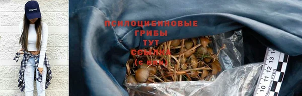 СК Арсеньев