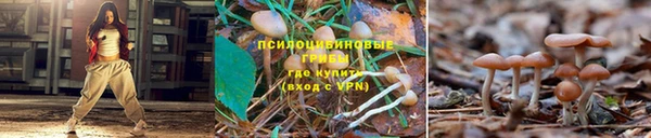 прущий лед Аркадак