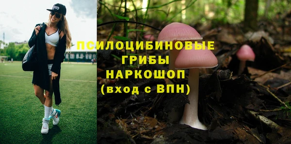 СК Арсеньев