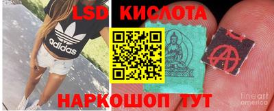 наркотики Кингисепп