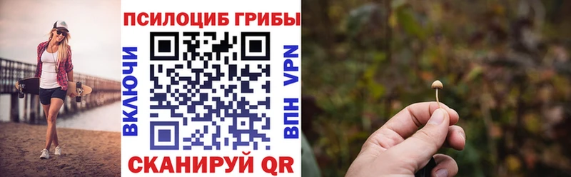 Псилоцибиновые грибы Cubensis  цены наркотик  Кирово-Чепецк 