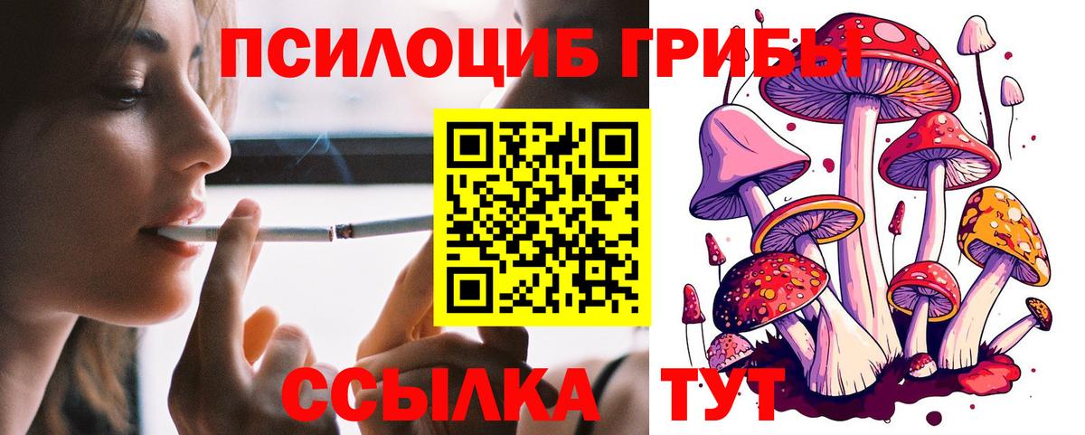 Псилоцибиновые грибы прущие грибы Кирово-Чепецк